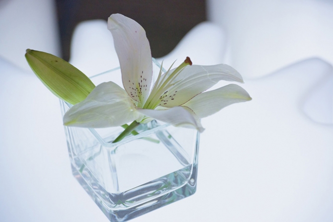 WBE Business Meeting (3)