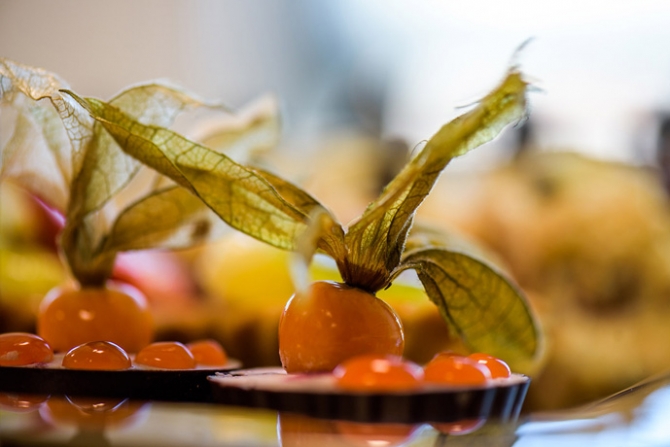 WBE Business Meeting (4)