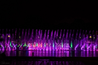 WBE Hollywood Night (21)