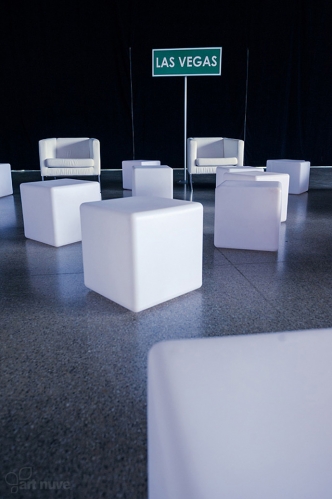 WBE Summer Picnic (1)