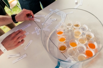 WBE Summer Picnic (12)