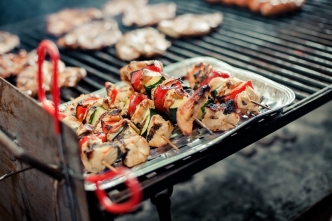 WBE Summer Picnic (4)