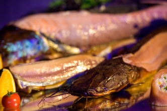 WBE TARBUD 30 edycja (5)