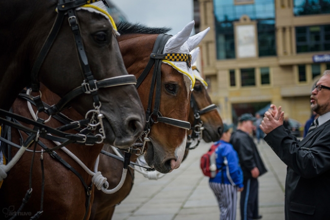 WBE Uroczysta Sesja Rady Miejskiej Wrocławia (2)