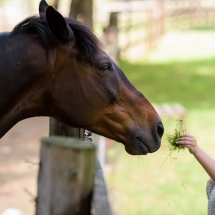 WBE Family Day 2016 (14)