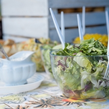 WBE Viva la Cuba (14)