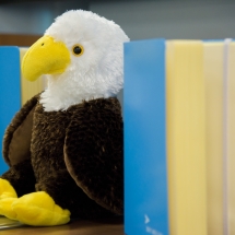 WBE Poland Expo 2016 (8)