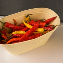 Wbe piknik charytatywny