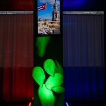 Wbe impreza integracynja dla yato viva la cuba