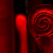 WBE Great Gatsby Night (10)