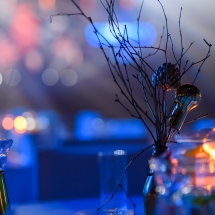 WBE Great Gatsby Night (11)