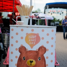 WBE Family Day stanowice (20)