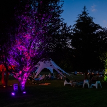 WBE Summer Event (4)