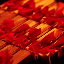 WBE yato oscar night (19)