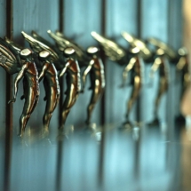 Wbe gala mlode talenty 2022