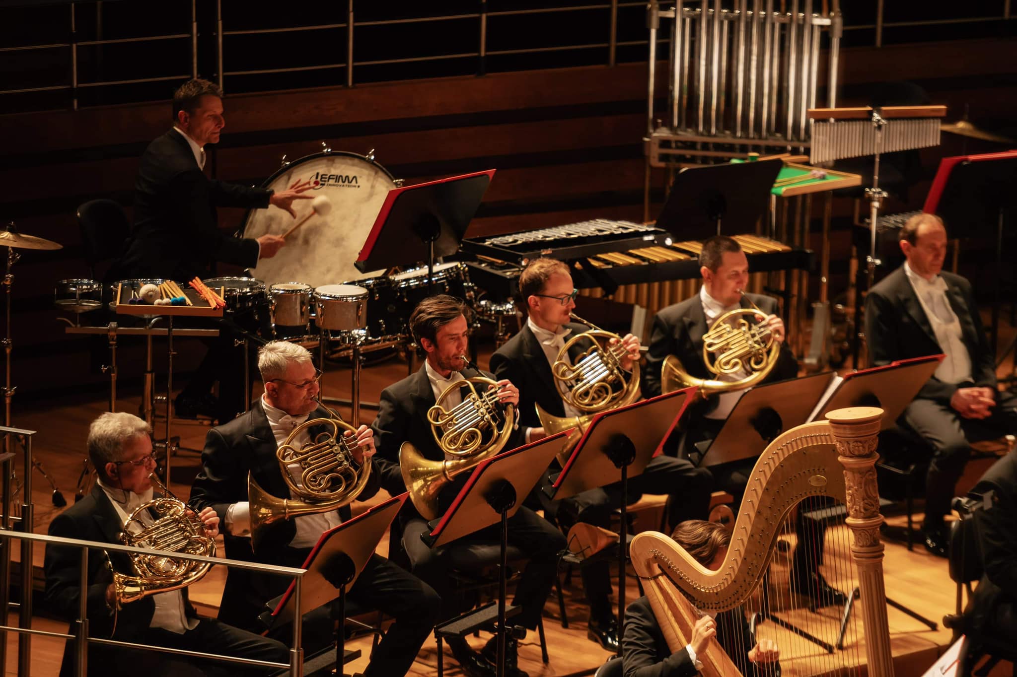 335908779 1191430364873265 6547595037909582598 n