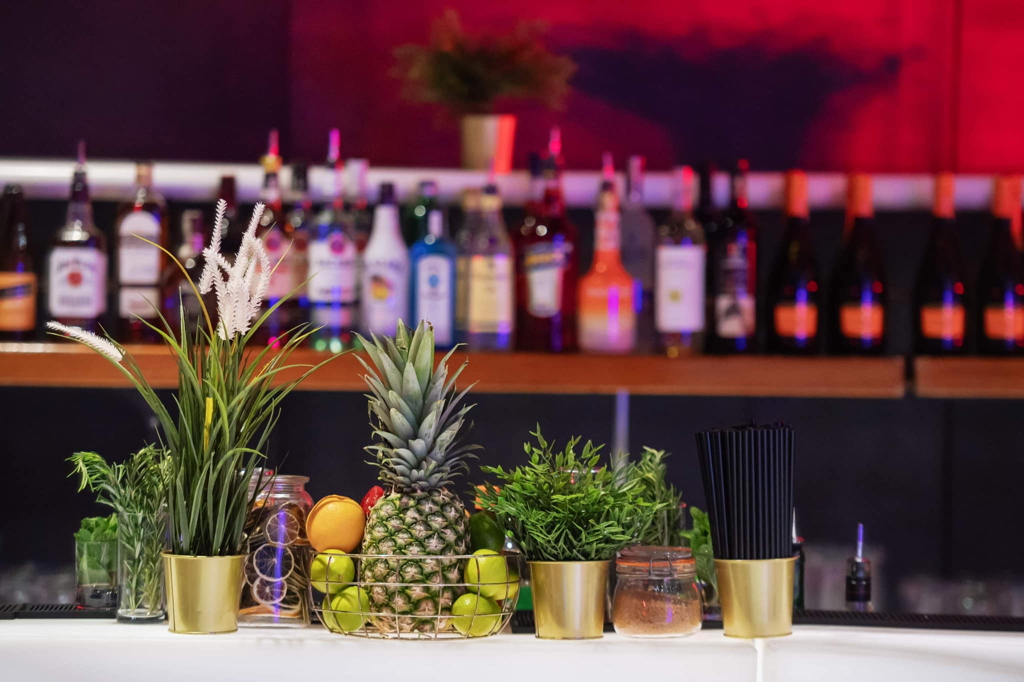 335945326 117508087876996 7321672209142332408 n