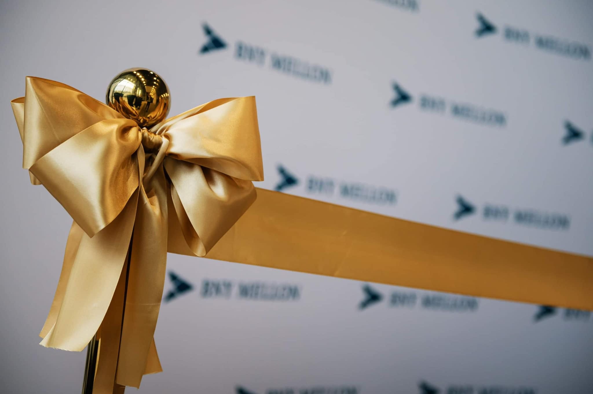 336868443 962235828103944 467181893818837601 n