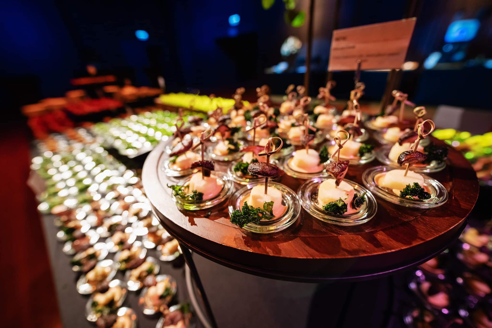 336885338 971996374179760 4753529273847365182 n