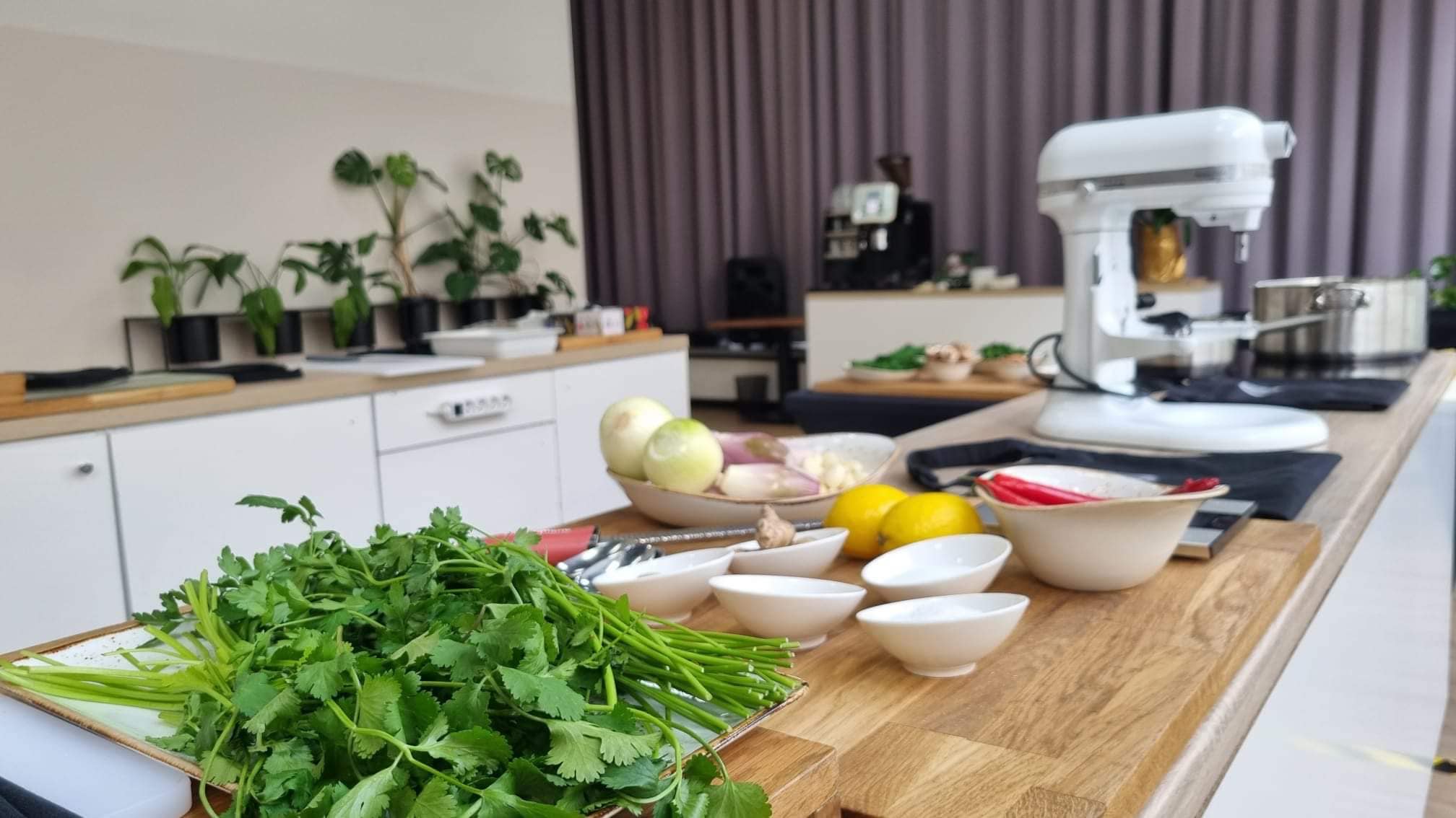 339134148 179428661570482 1410898056688414602 n