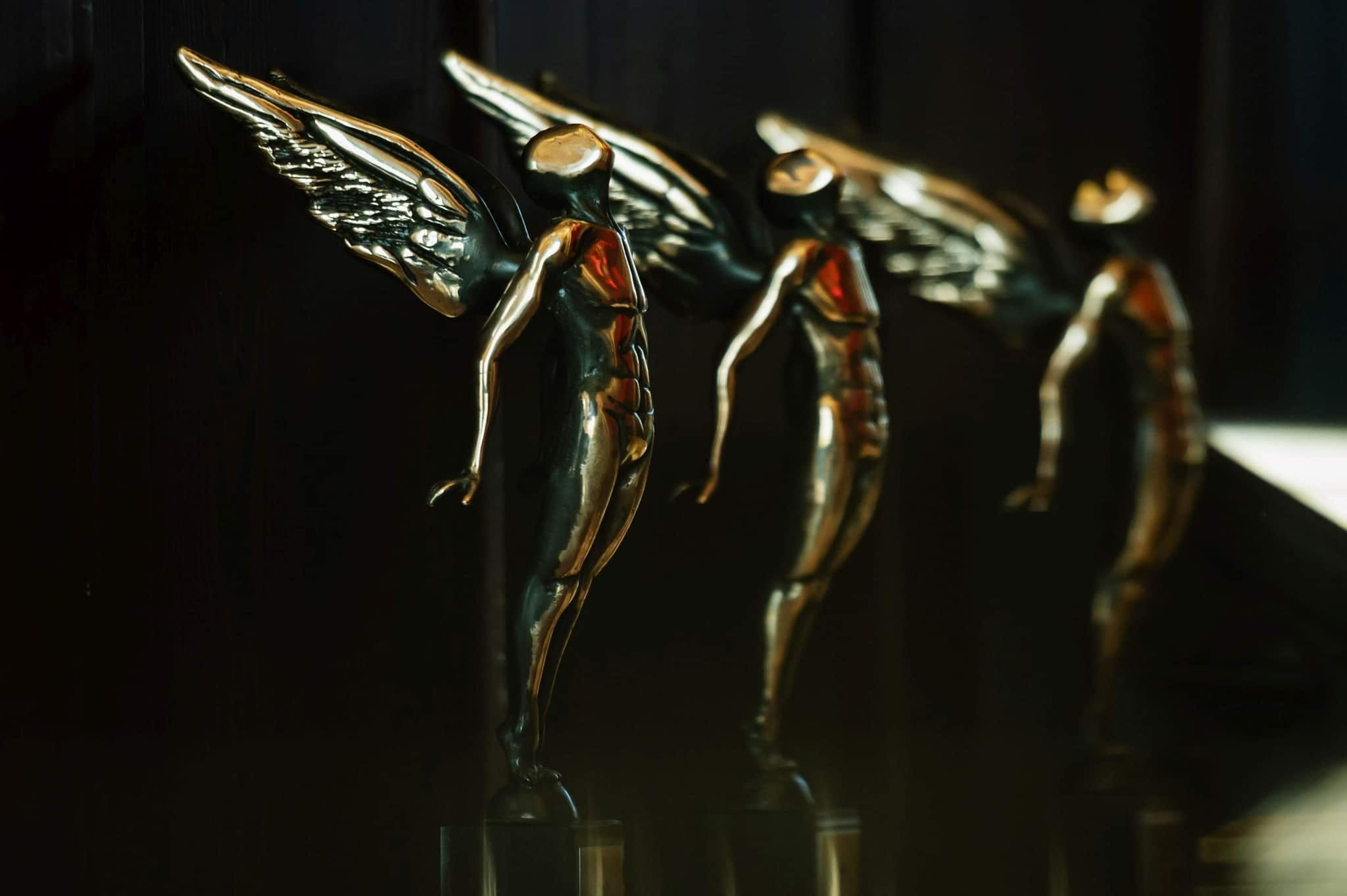 348819174 588083553412621 1130972684667728542 n