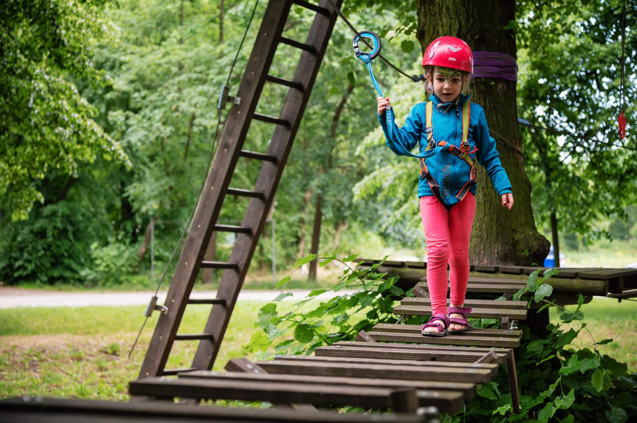 358017588 857427919179831 3124279215433813472 n