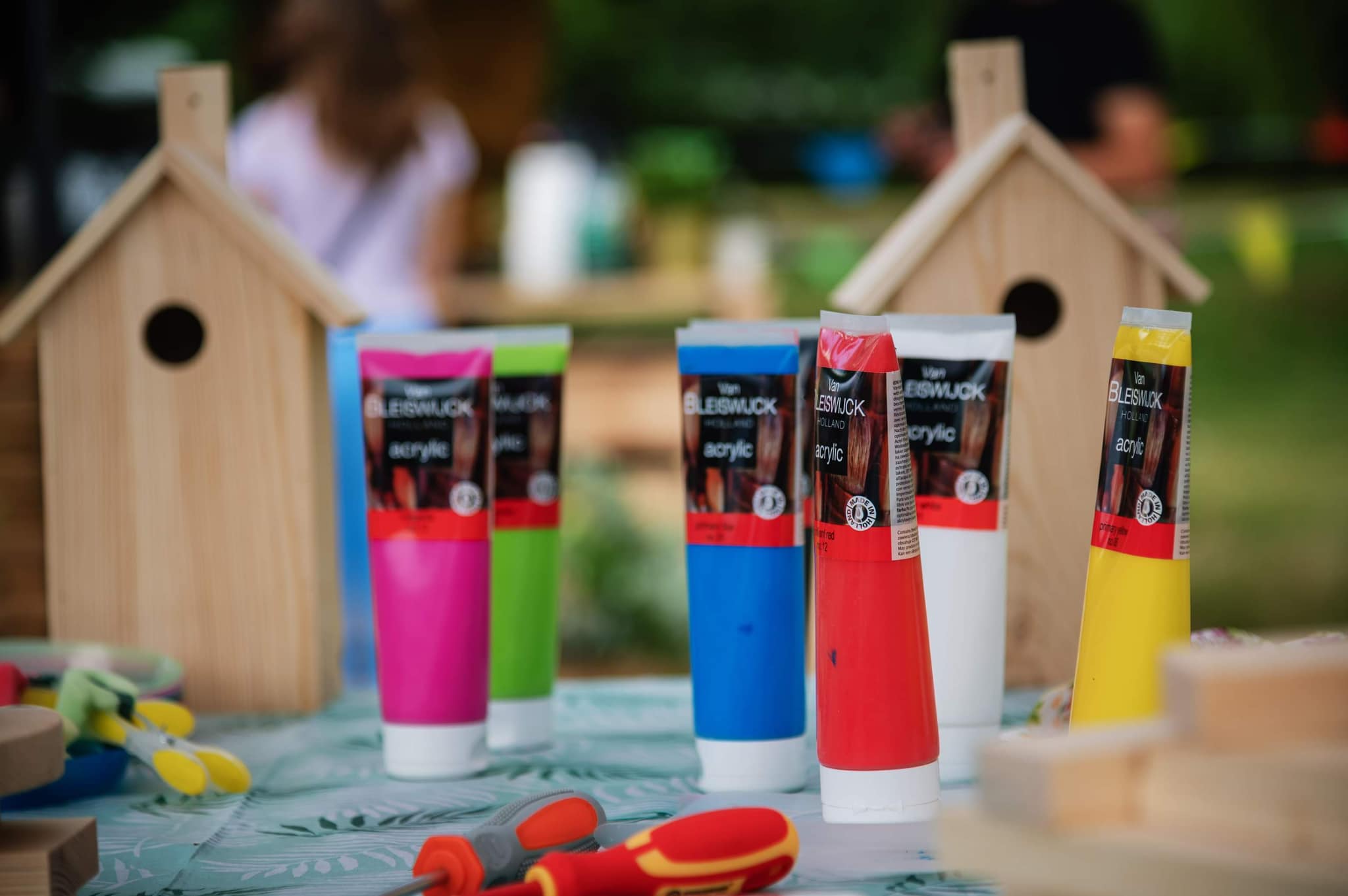 358113699 857428079179815 5953682034573200601 n