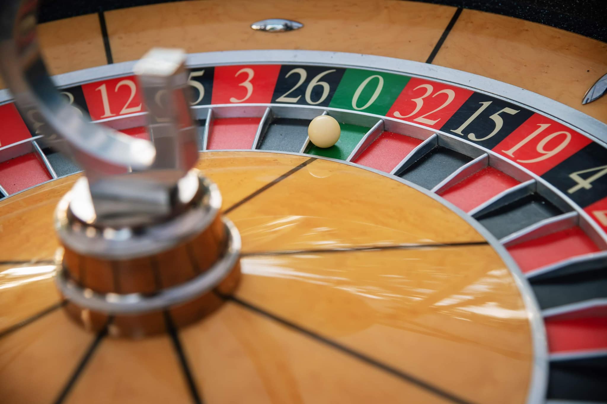 358145618 857427995846490 5123167968524347027 n