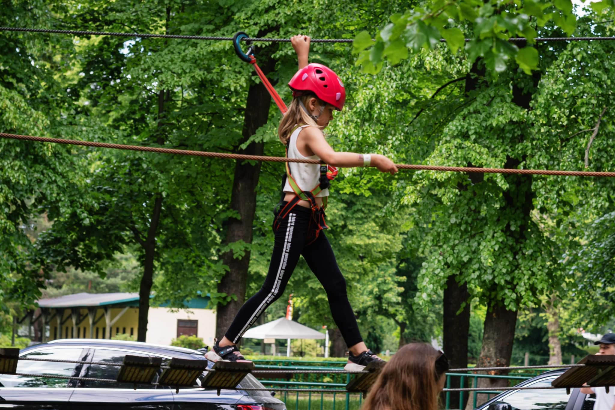 358352639 857428019179821 180341170799589258 n